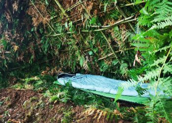 Could You Really Survive a Night in the Amazon Rainforest?