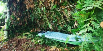 Could You Really Survive a Night in the Amazon Rainforest?