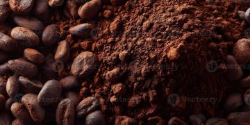 Could Your Favourite Chocolate Actually Be Toxic?