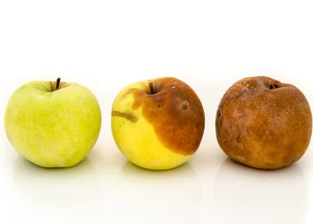 Are Food Expiry Dates Really Accurate?