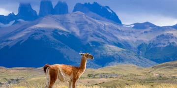 Could Patagonia Be the World’s Most Untouched Wilderness?