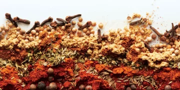 Can the Right Spices Transform a Bland Meal?