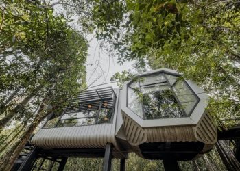 Can Hostels Offer a Better Experience Than Hotels?