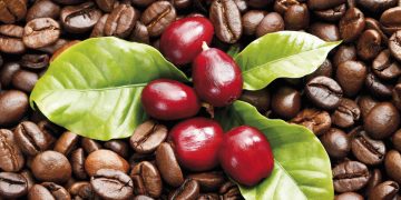 Is Your Coffee Really Organic?