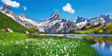 What Makes the Swiss Alps More Than Just a Ski Resort?