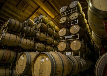 Can You Actually Taste the Difference Between Aged Wine and Young Wine?