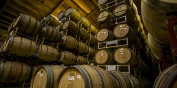 Can You Actually Taste the Difference Between Aged Wine and Young Wine?