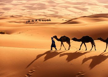 Is the Sahara More Than Just a Desert?