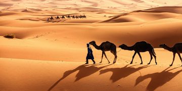 Is the Sahara More Than Just a Desert?