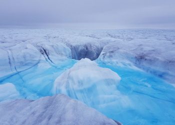Greenland: The Ultimate Frontier for Nature Lovers?